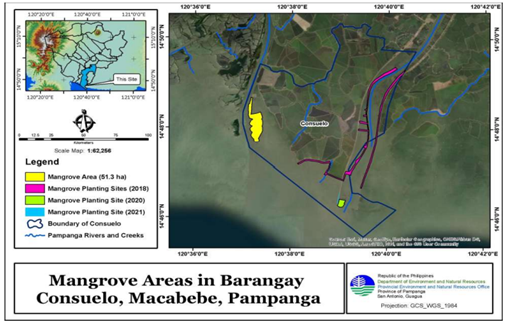 Figure 2: Shows mangrove areas in Consuelo, Macabebe, Pampanga.