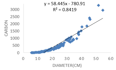 Figure 9: Correlation between DBH and carbon of _Schima_ _wallichii_.
