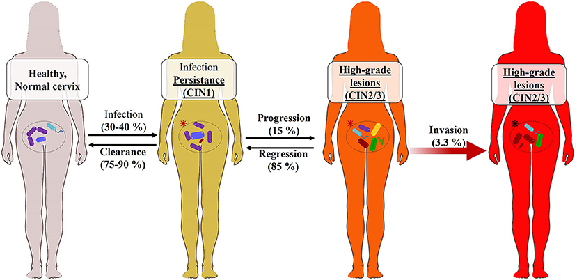 Figure 1: ** Risk Factors: Following factors increase the risk of HPV infections.