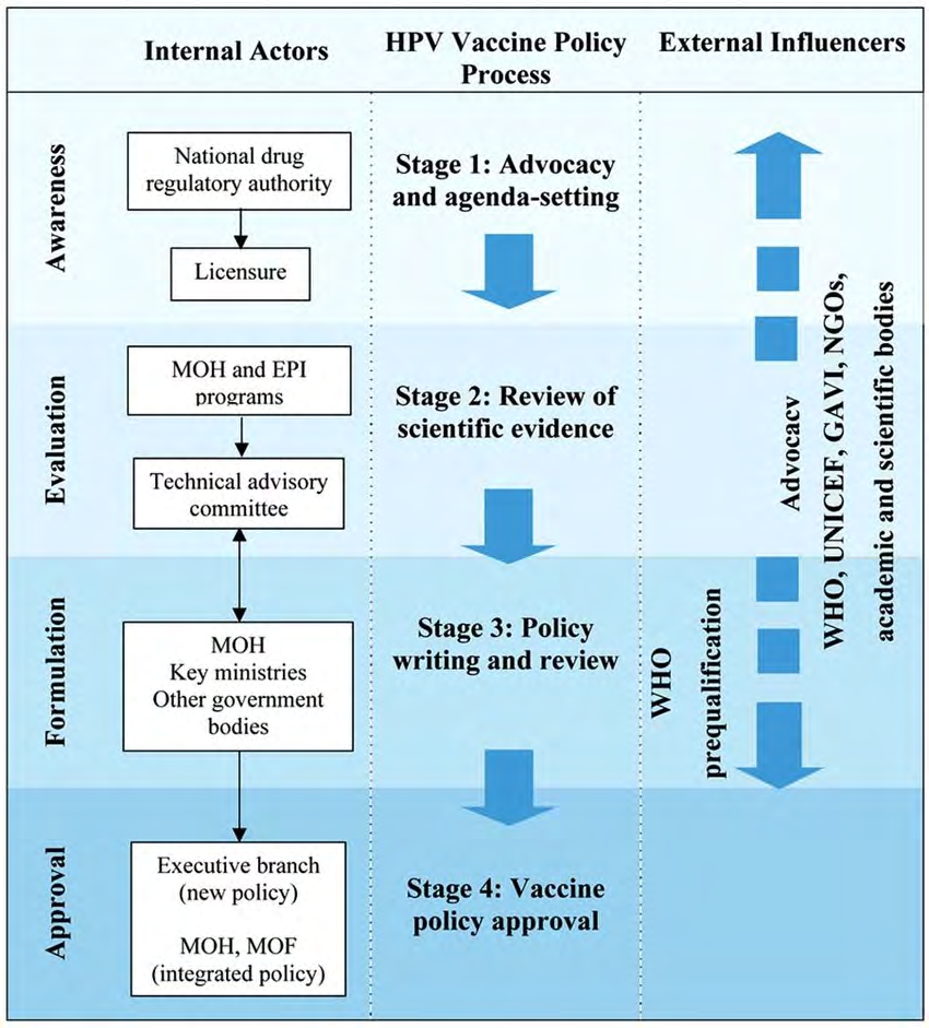 Figure 2: ### Policy Development for Human Papillomavirus Vaccine Introduction in Low-Resource Settings