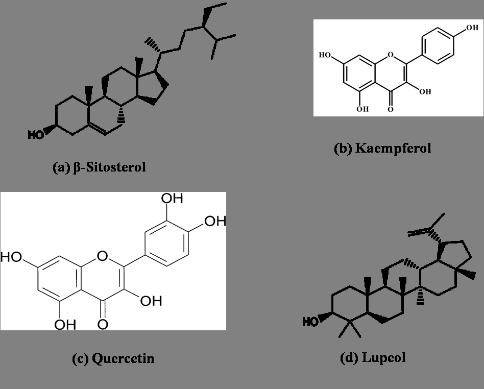 Figure 3: β-Sitosterol has a melting point of 136-139○C. It gives red colour in Salkowski’s test and green colour in Liebermann-Burchard’s test. Kaempferol has a melting point of 275-277○C, it responds at λmax265 and 267 nm; Quercetin is a yellow amorphous powder, has a melting point of 311-313○C and responds at 369nm. Lupeol is a white amorphous solid having a melting point of 211-213○C and gives a positive response to Liebermann-Burchard’s test for triterpenoids.