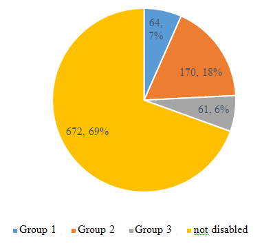Figure 11: Patient distribution by disability category.