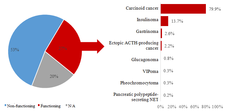 Figure 13: NET distribution by functional status according to data from the MOLNEO Registry.