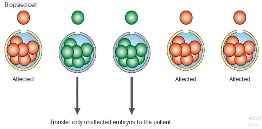 Figure 2: Principles of preimplantation genetic diagnosis.