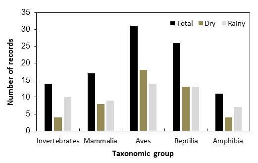Figure 6: Number of records with evidence of feeding activities of the Roadside Hawk, that were obtained by citizen scientists in the Brazilian Atlantic Forest. Prey were grouped in five taxonomic groups, and record numbers were shown for dry and rainy periods, and for the total sampling period. Records were gathered in the WikiAves database by TVG in February 2021.