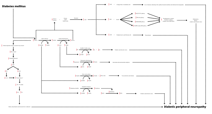 Figure 1: ** Pathophysiology of diabetic peripheral neuropathy.