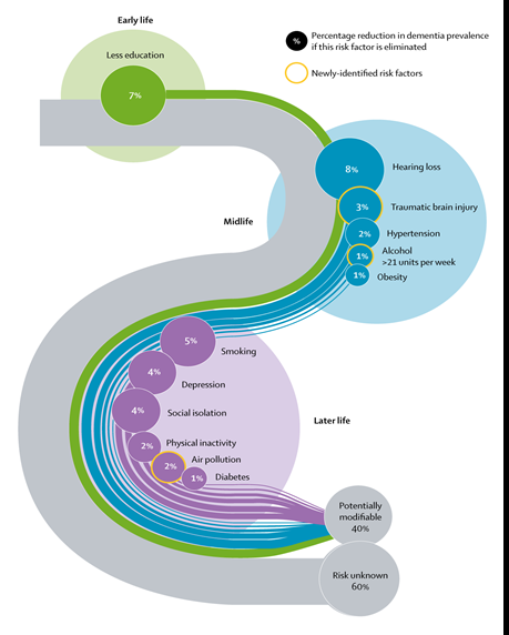Figure 1: ** Risk factors for dementia.