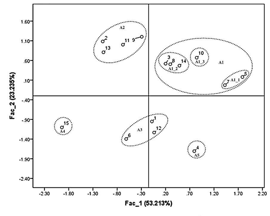 Figure 2: PCA of 15 isolates based on their nattokinase activity and sensitive evaluation.