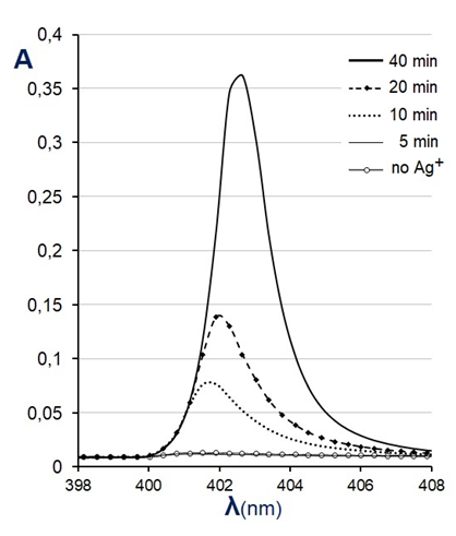 Figure 1: Changes in the characteristic peak of silver nanoparticles formed in a suspension of cells M. smegmatis (in LB growth medium) after the addition of Tollens’ solution (Ag(NH3)2NO3) depending on the exposure time [15].