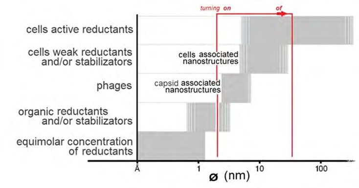 Figure 2: Correlation between the sizes of nanoparticles and the type of reducing agent. The size ranges of nanoparticles capable of fluorescence are marked in red.