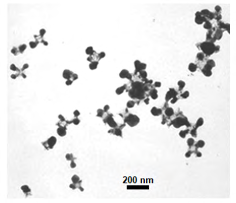 Figure 3: Silver nanoparticles formed on the surface of G7C virus particles.