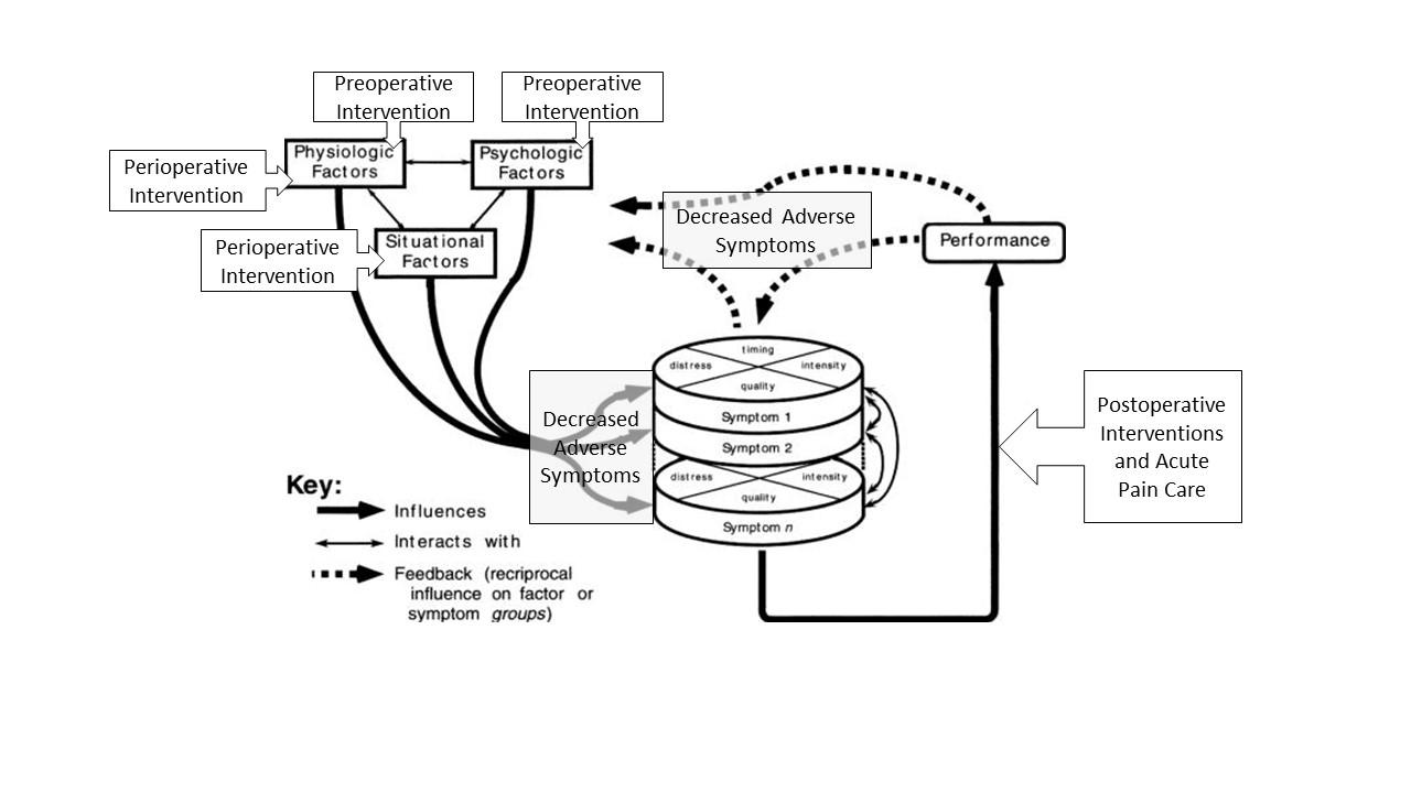 Figure 2: CRNA-based interventions at the preoperative, perioperative, and postoperative phases of care and their impact in the mitigation of unpleasant symptoms.