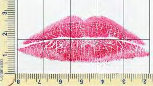 Figure 1: Lip prints on AL Scale