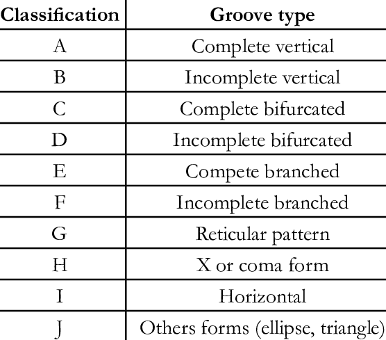 Figure 5: Renaud’s classification