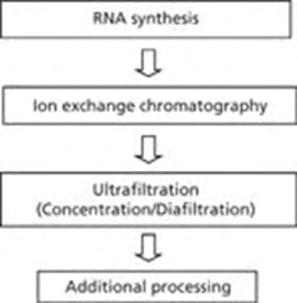 Figure 2: RNA purification [1].