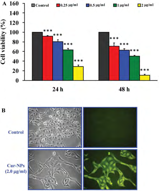 Figure 1: CUR-loaded Nanoparticles for drug delivery system [2]. Under a Creative Commons Attribution (CC-BY) License.