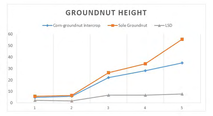 Figure 2: Effect of intercropping on the Height of Groundnuts.