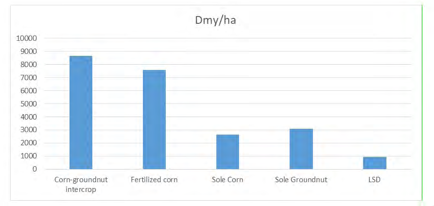 Figure 4: Effect of intercropping on the Dry Matter yield per Hectare.