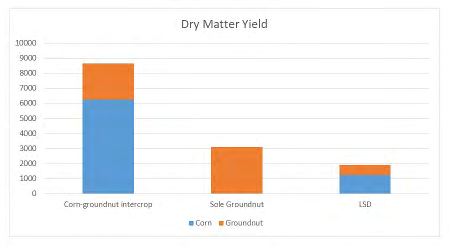 Figure 5: Effects of Intercropping on the Total Dry matter yield of forage.