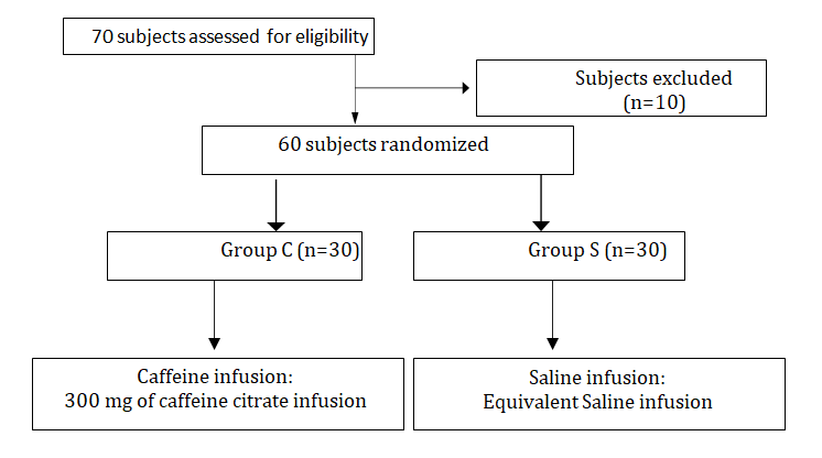 Figure 1: Flow chart of the study.