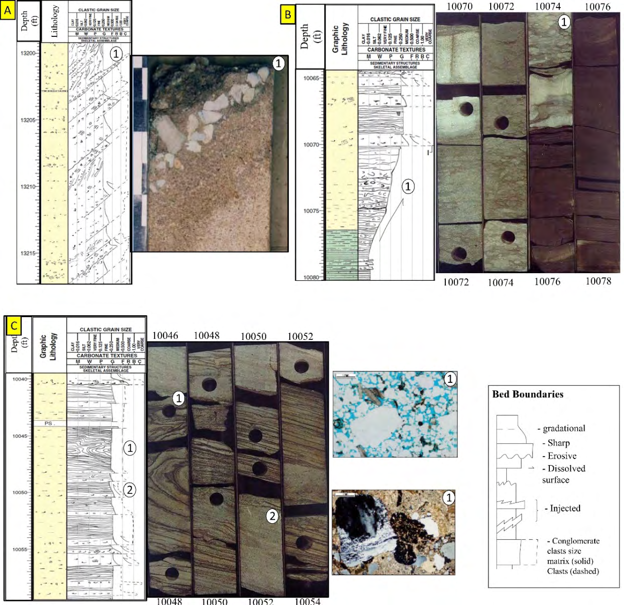 Figure 5: (A) Conglomeritic beds suggest proximity to the sedimentary source. (B) Dominantly very fine-grained bioturbated sand, with a sharp erosional base. (C) Mid to proximal fan poorly sorted medium to coarse-grained sandstones with slump features. Slumping may be triggered by tectonics or over-steepening of lobe margins by erosion.