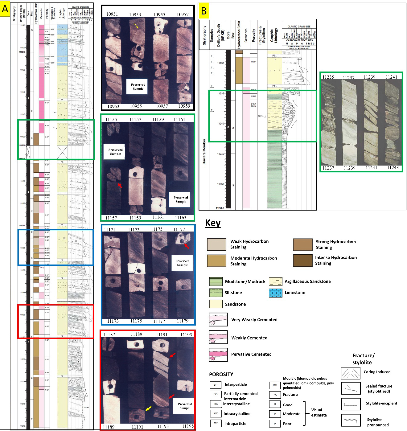Figure 6: (A) core description log of OCT-J5 well presents the lithofacies composition, hydrocarbon staining, and cementation. (B) Core log and core a photograph showing the boundary between the deep marine lithofacies-A of Asl Member and the underlying pelagic shale of Hawara Member.