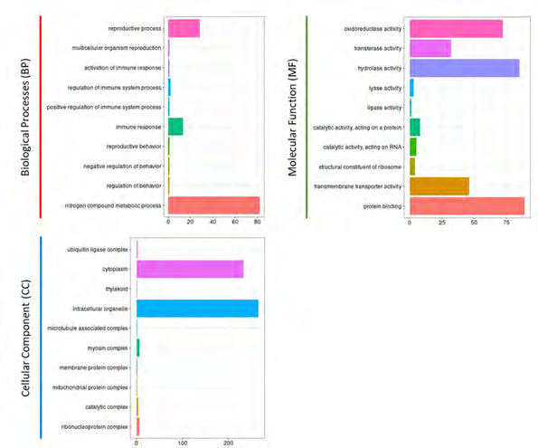 Figure 2: Gene ontology (GO) classification of C. sativus var. hardwickii transcribed sORFs.