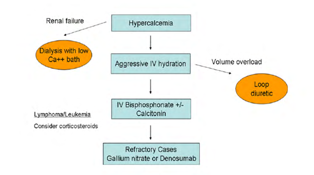 Figure 4: Primary hyperparathyroidism and malignancy are the two most common causes.