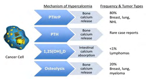 Figure 6: Mechanism of Hypercalcemia.