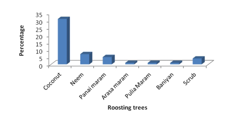 Figure 10: Roosting tree used by peafowls.