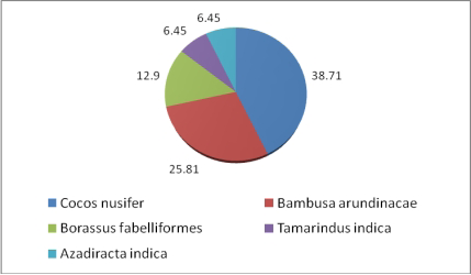 Figure 2: Roosting trees used by Peafowl in the study sites.