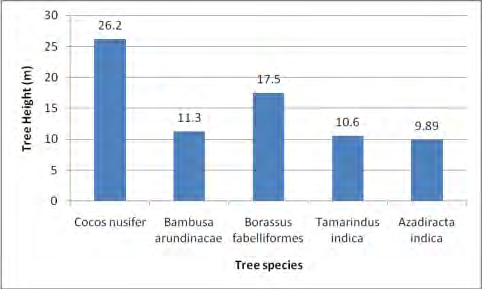 Figure 4: Roosting tree height (m) preference by peafowl.