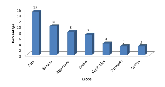 Figure 9: Crops cultivated in the study area.