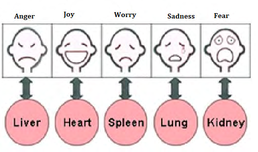 Figure 12: Emotions and the correspondence to each internal massive organ.
