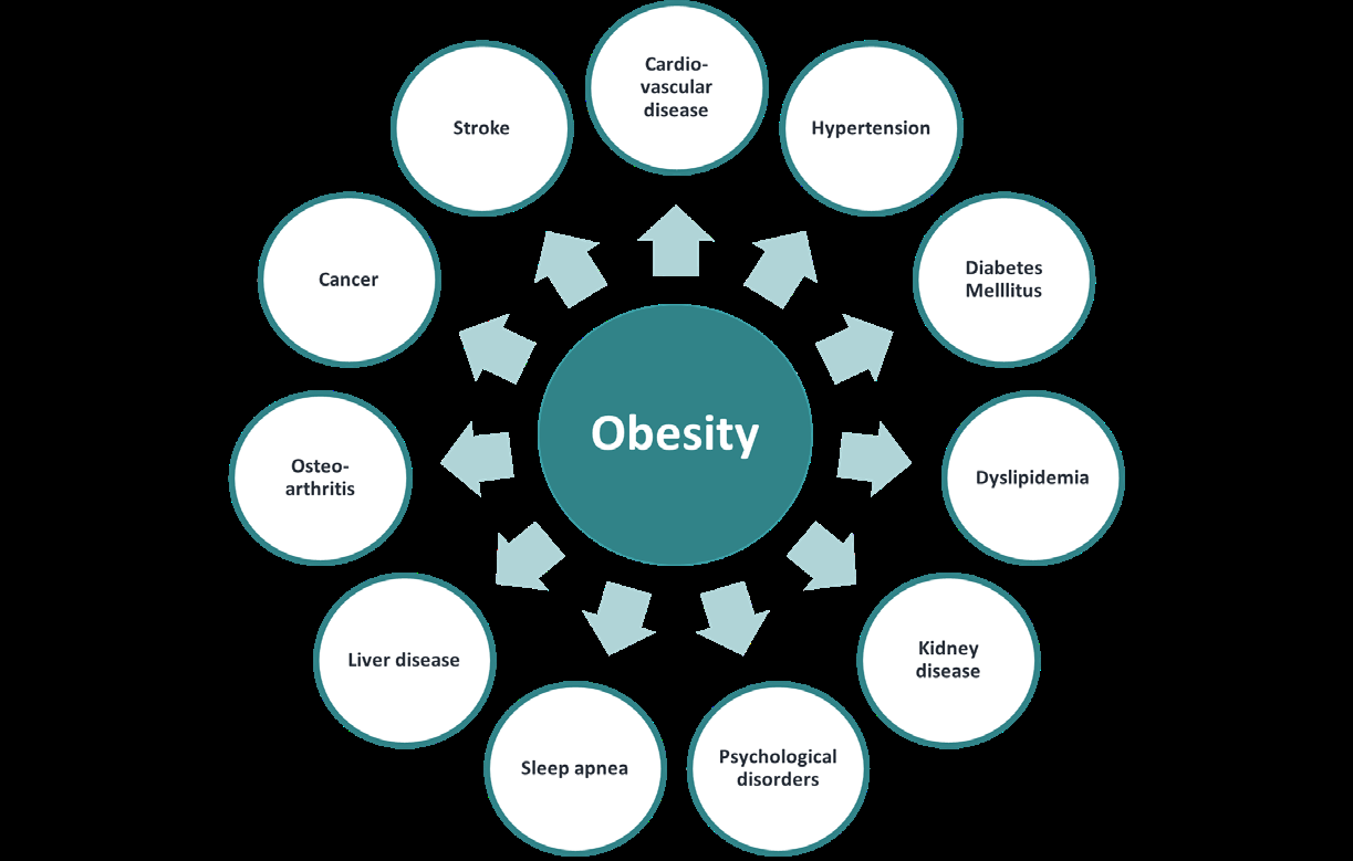 Figure 2: Screens are taking up greater portion of the time that individuals spend on different matters, concurrent with physical inactivity which has been identified as the main risk factors [7,8].