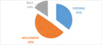 Figure 4: Vegetation type.