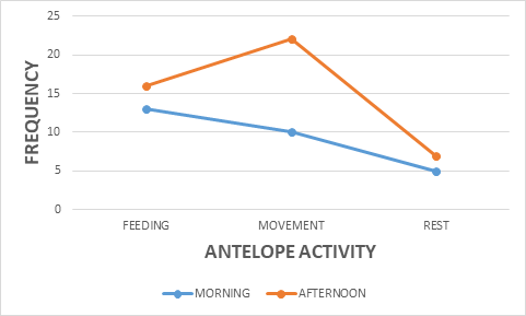 Figure 6: Antelope-group activity.