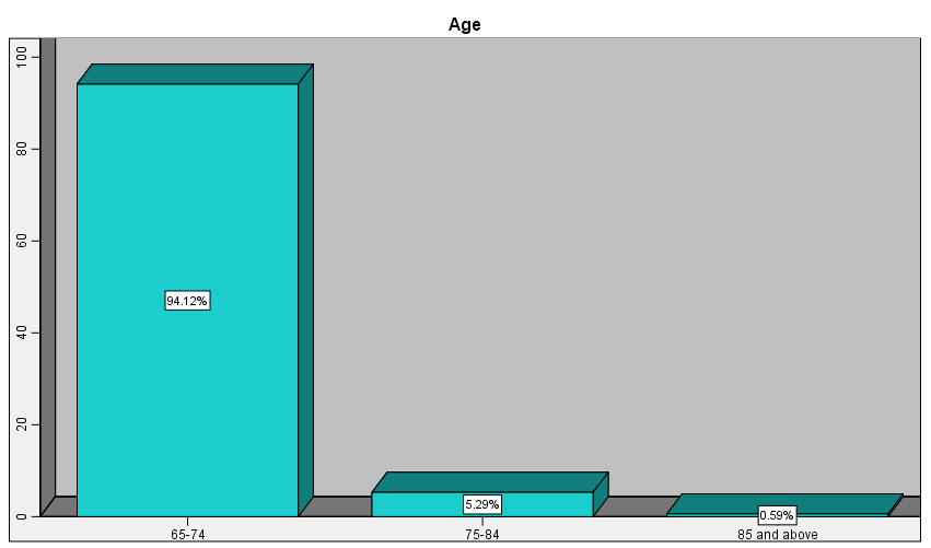 Figure 2: Age Group Distribution.