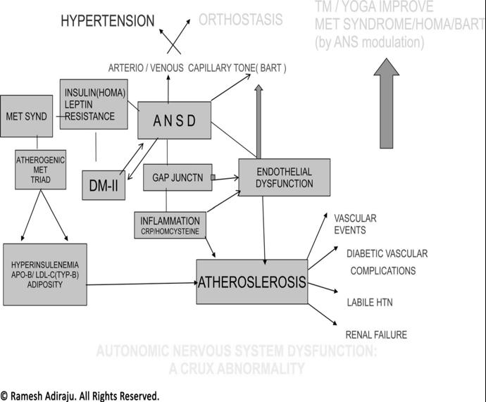 Figure 7: Autonomic nervous system Dysfunction: A Crux Abnormality Abbreviations: ANSD: Autonomic Nervous System Dysfunction; TM: Transcendental Meditation; HOMA: Homeostasis Model Assessment; BART: Brachial Artery Reactivity Testing.