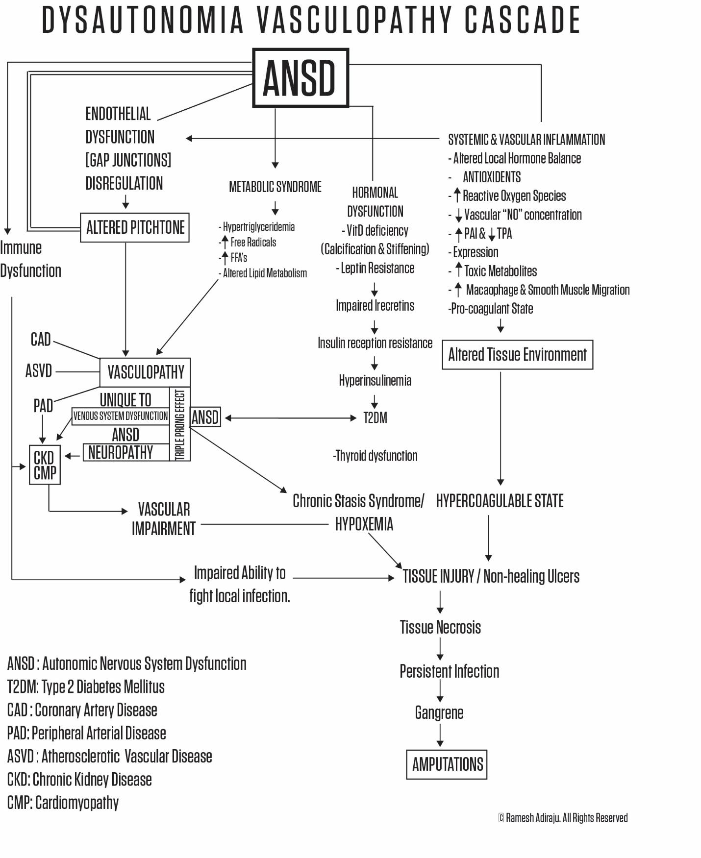 Figure 9: CCALA with sites of Pharmacologic Intervention.