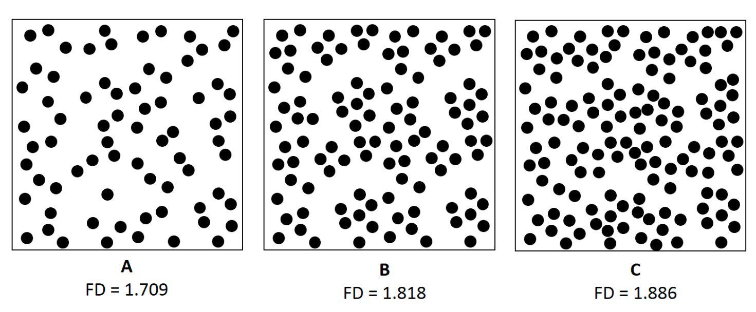 Figure 5: Models of granule cell layer cytoarchitecture of cerebellar cortex. Different cell number and cell density: A – reduced number of cells, B – average number of cells, C – increased number of cells. The pattern of cell distribution was not changed. Cell size is the same in all three models.