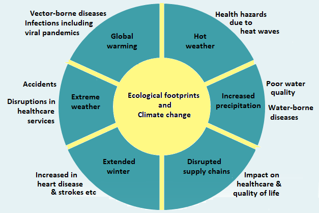 Figure 1: Impact on health of climate change.