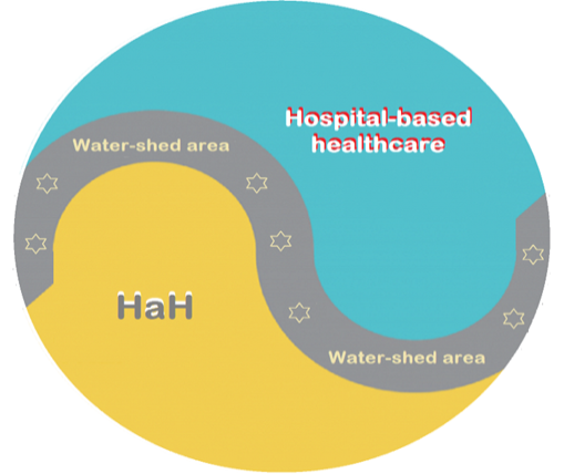 Figure 3: The conventional hospital-based healthcare, the HaH and the water-shed area for intermediate health conditions.