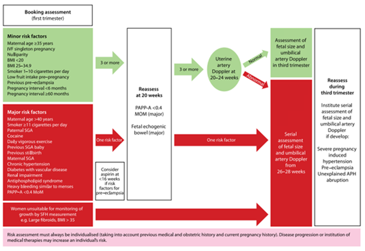 Figure 2: Recommend that these mothers are monitored by serial ultrasounds from 26-28 weeks approximately every two weeks. The results from the audit show that 33% of known smokers admitted to smoking 11+ cigarettes daily and out of these 75% had serial ultrasounds from 26-28 weeks whilst the other 25% were not followed up by serial ultrasounds as recommended [4].