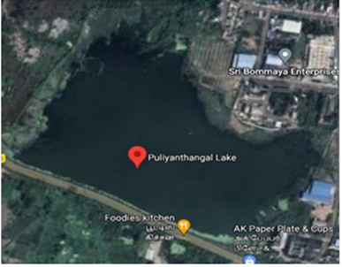 Figure 4: Satellite image of Puliyanthangal Lake.
