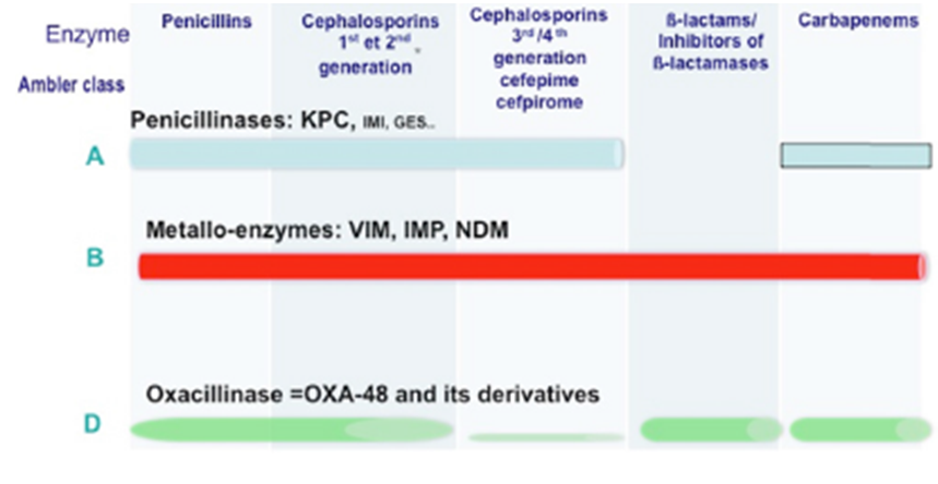 Figure 1: Clavulanic acid EDTA