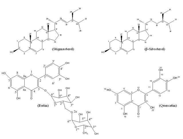 Figure 1: Effect of Methanolic extracts of Argyreia pilosa on Hot-Plate Method. All the values are expressed as mean ± SEM; n = 5 mice in each group, by one way ANOVA followed by Tukey’s Multiple Comparison Test. *, p<0.01 versus control; a, p<0.01 versus tramadol.