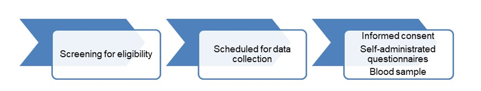 Figure 2: Study Procedure.