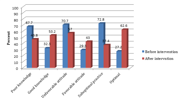 Figure 2: Nutrition and Health Knowledge, Attitude, and Practices in the intervention groups before and after the intervention in the Ambo district, Ethiopia, 2018.
