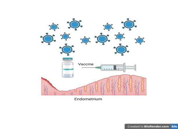 Figure 1: Can COVID-19 vaccine impact periods.